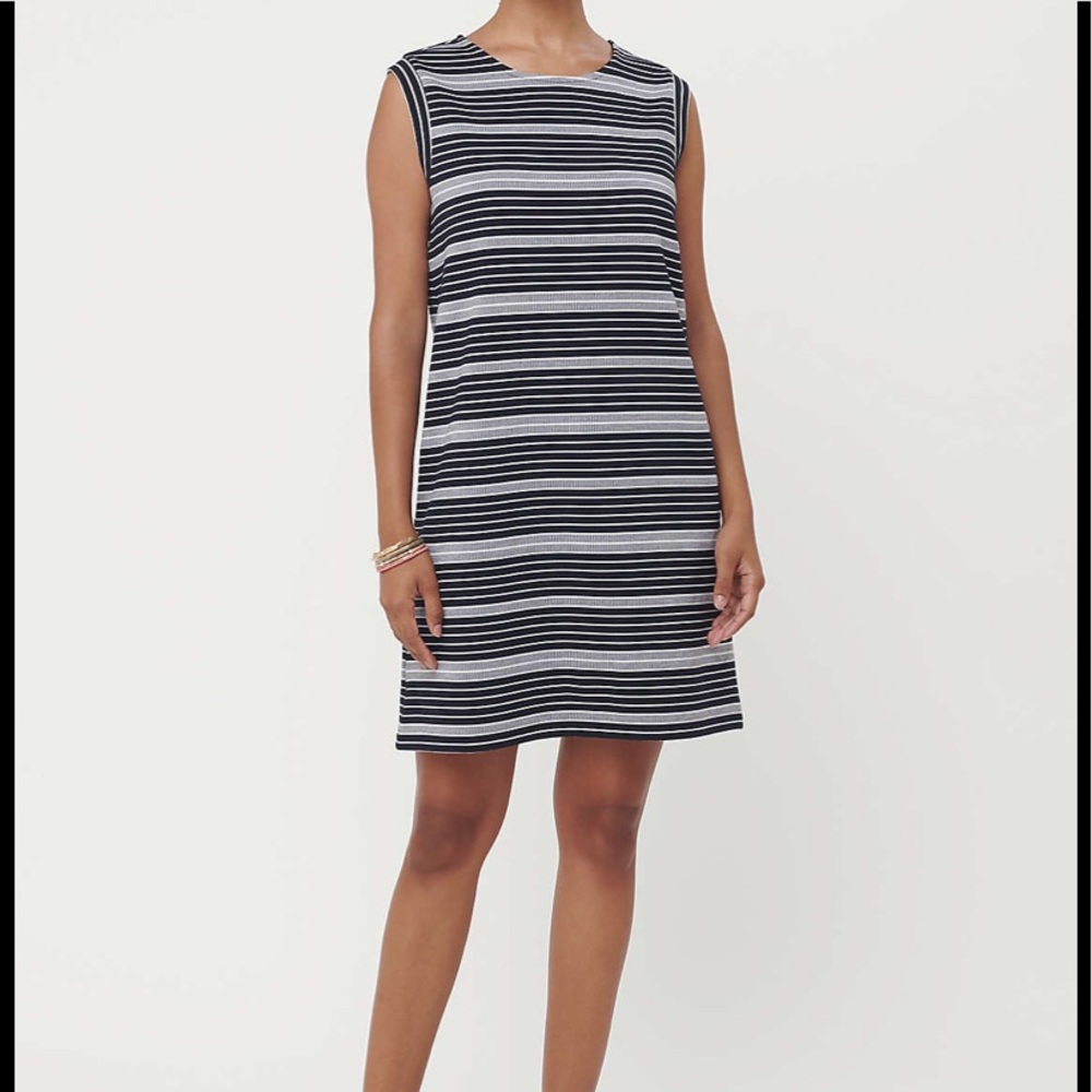 LOFT...Navy blue, Medium, striped dress sleeveless (2)